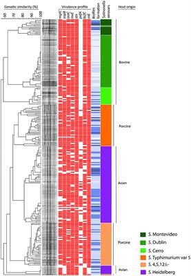 The Possible Influence of Non-synonymous Point Mutations within the FimA Adhesin of Non-typhoidal Salmonella (NTS) Isolates in the Process of Host Adaptation